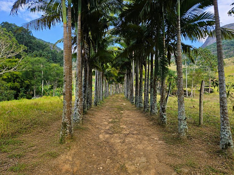 Cabana Diálogo - Monte para oração