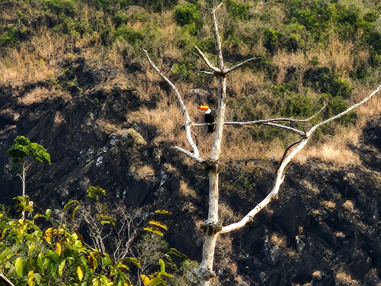 Cabana Diálogo - Monte para oração
