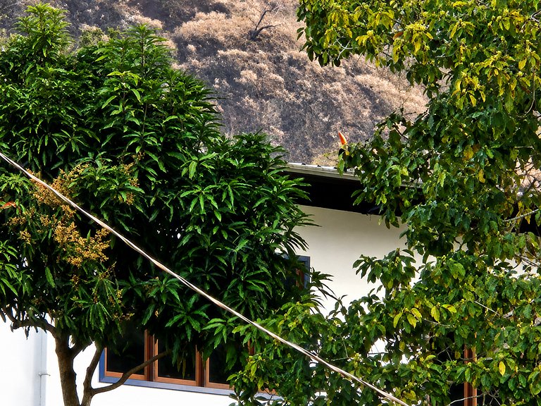 Cabana Diálogo - Monte para oração