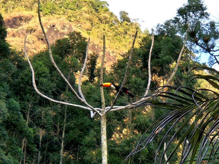 Cabana Diálogo - Monte para oração