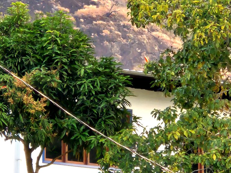 Cabana Triálogo - Monte para oração
