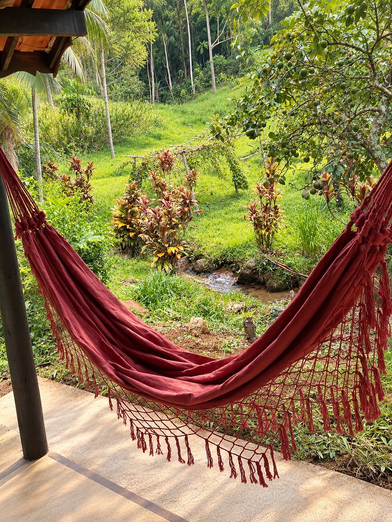 Casinha histórica | riacho e piscina natural