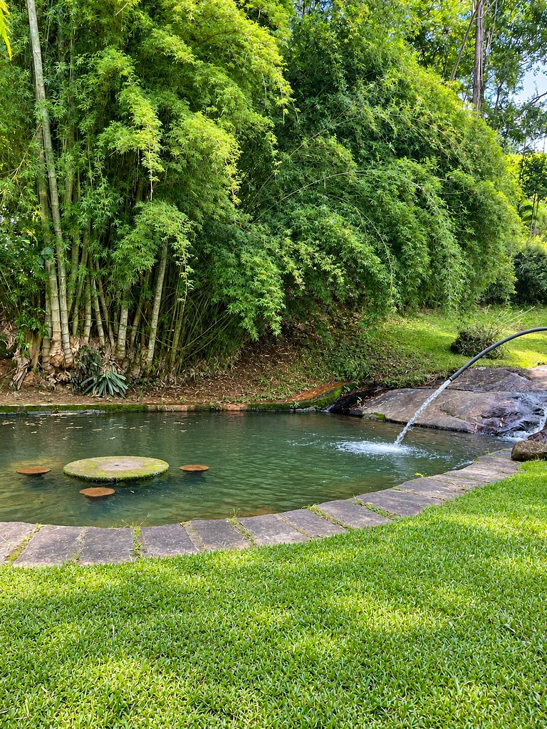 Casinha histórica | riacho e piscina natural